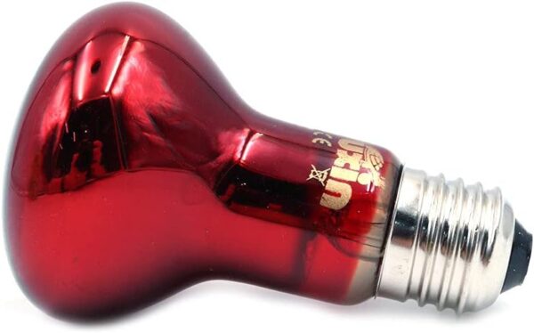 ANCLLO 2pcs Reptile Heating Bulbs, Durable Infrared Heat Lamp Warming Light Bulb Red Pet Light for Reptile and Amphibian Lizard Tortoise Spider Snake Chameleon 220-230V(50W) - Image 3