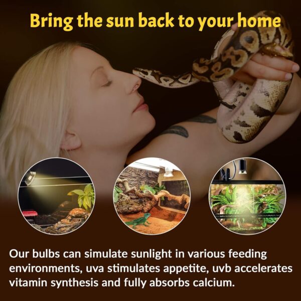 Bonlux E27 Reptile Heating Bulb, UVA UVB Bulb Tortoise 50W Basking Bulb, Turtle Tank Light Bulb, Vivarium Heat Lamp for Bearded Dragon, Lizard, Gecko, Ball Python (Dimmable, Pack of 2) - Image 4