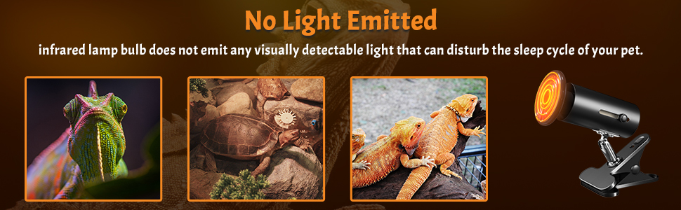 Reptile Tortoise Heat Lamp