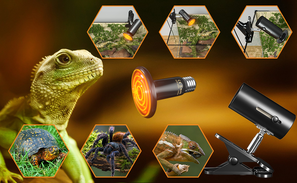 Reptile Tortoise Heat Lamp