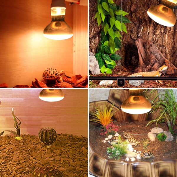 DoRight E27 Reptile Heating Light Bulb, 100W Backlight, Basking Light, UVA Light, Warm Light Bulb for Bearded Dragon Lizard Tortoise Hedgehogs Reptiles Amphibians (Pack of 2) - Image 7