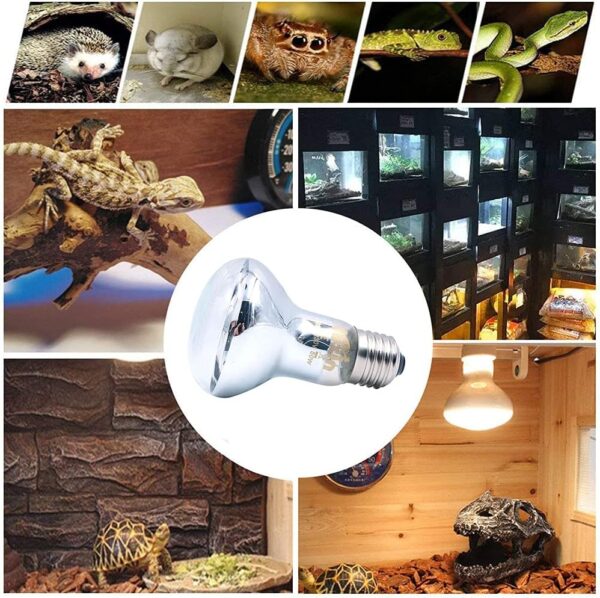 ANCLLO 2pcs Transparent Reptile Heating Bulbs, Durable Infrared Heat Lamp Warming Light Bulb Pet Light for Reptile and Amphibian Lizard Tortoise Spider Snake Chameleon 220-230V(100W) - Image 7