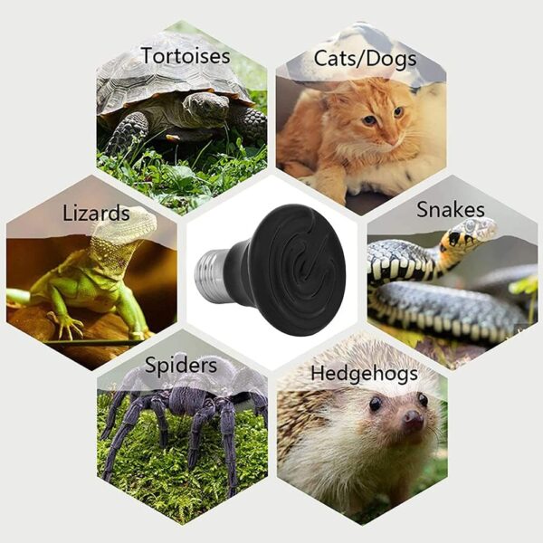 ANCLLO 2pcs Reptile Heating Bulbs, Durable Infrared Heat Lamp Warming Light Bulb Black Pet Light for Reptile and Amphibian Lizard Tortoise Spider Snake Chameleon 220-230V(50W) - Image 7