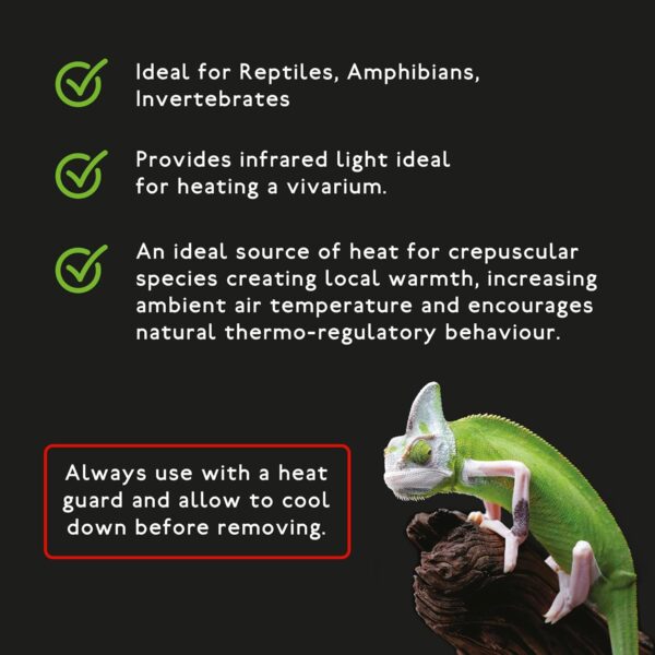 Aqua-Terra Lighting 150w Infrared Basking Heat Lamp for Reptiles, Amphibians and Invertebrates– R95 Spotlight Bulb with E27 Standard Screw Base Suitable for Vivarium Heating - Image 3