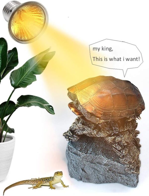 yanhe 50W UVA UVB Bulbs for Tortoise Heat Lamp Halogen Basking Bulb for Aquarium Reptile Lizards Turtle Snakes- 2 pcs - Image 3