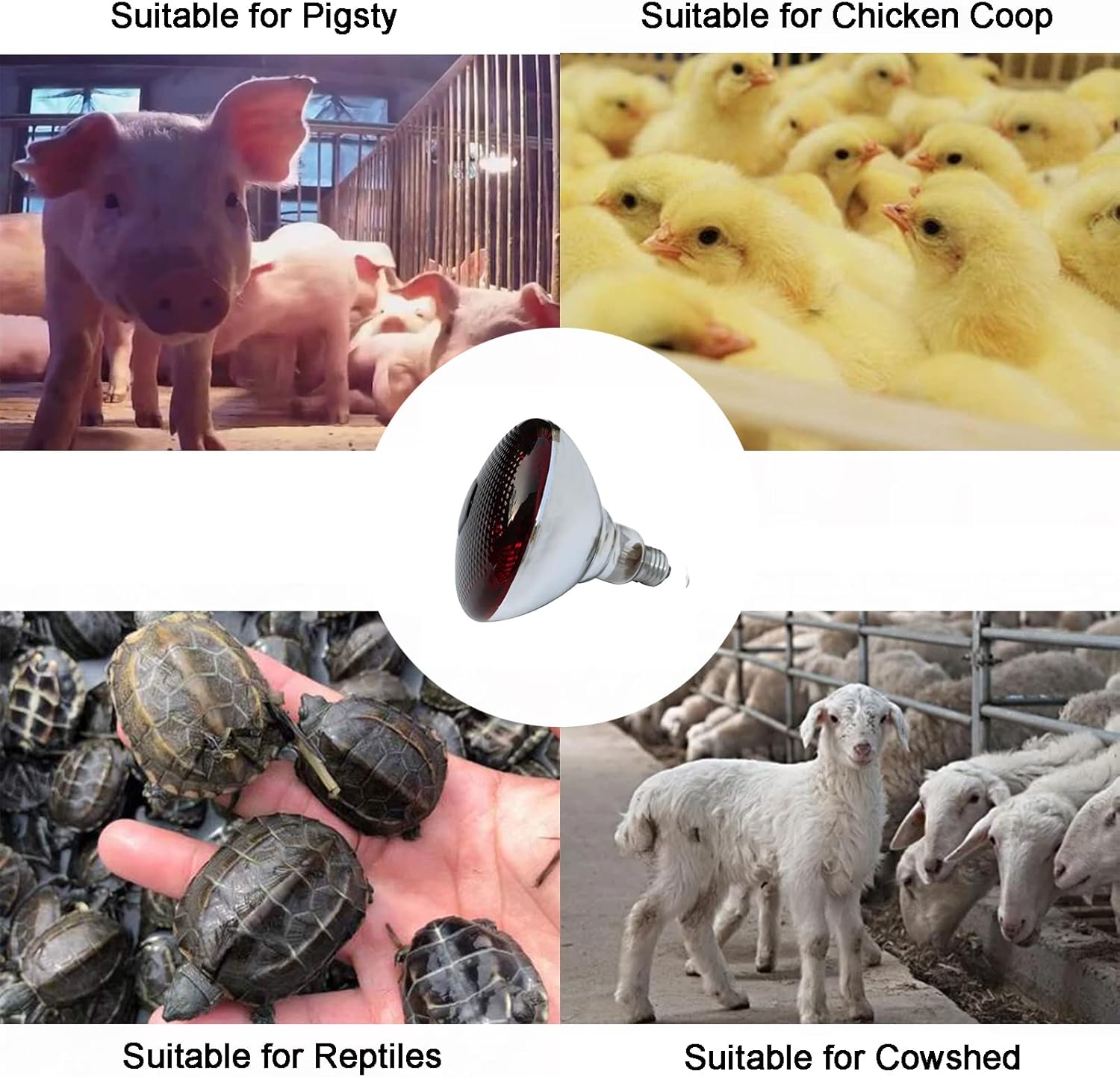 51buyoutgo 250W Thickened Infrared Heat Lamp Bulb for Puppies Reptiles Chicks Tortoise Poultry, Puppy Reptile Heat Lamp, Ceramic Chicken Reptile Tortoise Basking Heat Lamp Bulb Red - Image 5