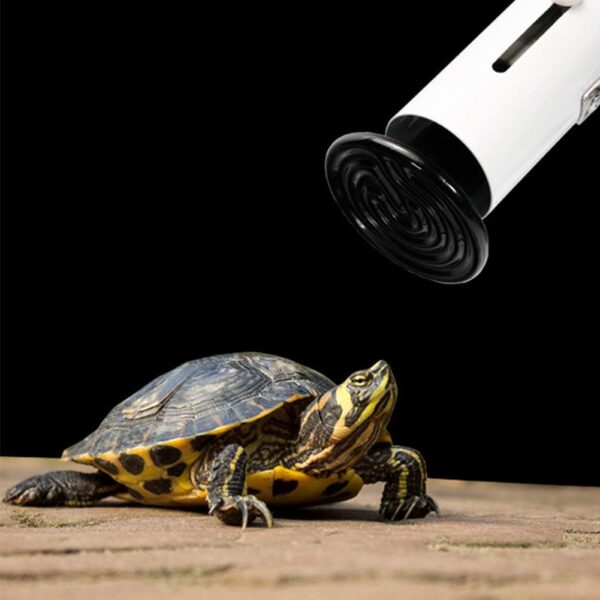 Gtagain Reptiles Heating Lamps - 1-3 Pcs E27 220-240V Infrared Ceramic Reptile Heater Tortoise Terrarium Emitter Bulb No Light 25/50/75/100/150/200W - Image 6