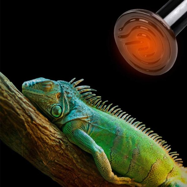 Gtagain Reptiles Heating Lamps - 1-3 Pcs E27 220-240V Infrared Ceramic Reptile Heater Tortoise Terrarium Emitter Bulb No Light 25/50/75/100/150/200W - Image 5
