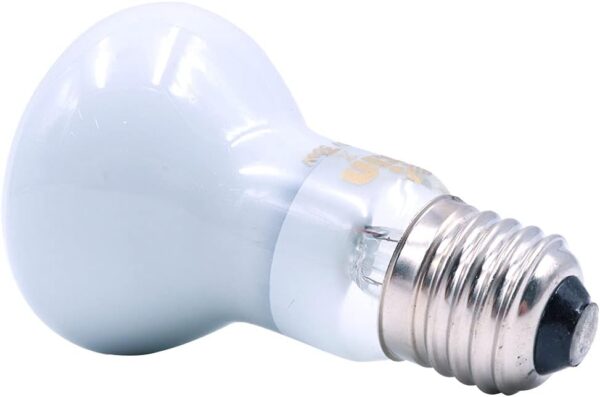 ANCLLO 2pcs Reptile Heating Bulbs, Durable Infrared Heat Lamp Warming Light Bulb White Pet Light for Reptile and Amphibian Lizard Tortoise Spider Snake Chameleon 220-230V(50W) - Image 2
