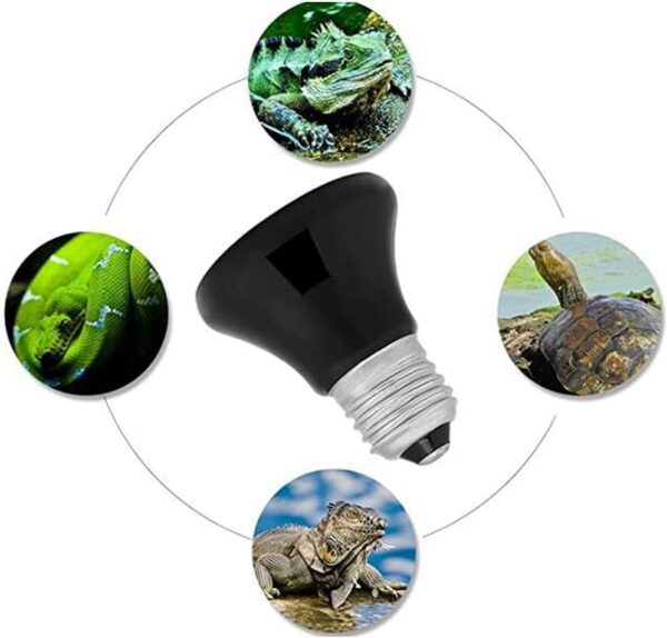 ANCLLO 2pcs Reptile Heating Bulbs, Durable Infrared Heat Lamp Warming Light Bulb Black Pet Light for Reptile and Amphibian Lizard Tortoise Spider Snake Chameleon 220-230V(100W) - Image 6