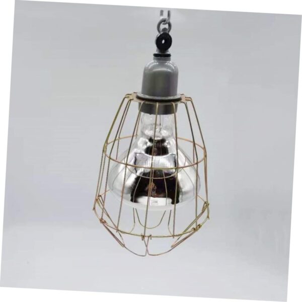COSMEVIVI 6 Pcs Heat-Resistant Bulb Cage Retro Bulb Cover Vintage Lights Cage Light Supply Retro Lamp Cover Household Bulb Cover Snake Cage Reptile Heating Lamp Snake Lamp - Lamp Cover Iron - Image 7