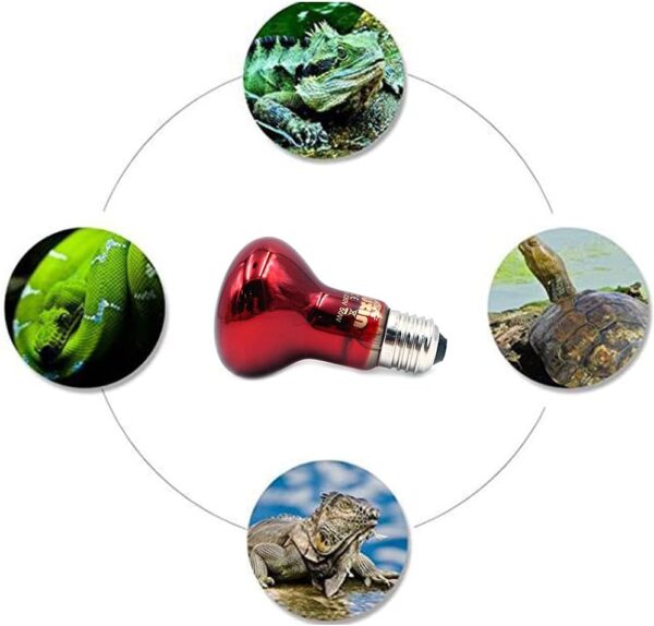 ANCLLO 2pcs Reptile Heating Bulbs, Durable Infrared Heat Lamp Warming Light Bulb Red Pet Light for Reptile and Amphibian Lizard Tortoise Spider Snake Chameleon 220-230V(75W) - Image 5