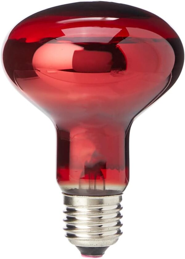 Komodo Infrared Heat Lamp ES, 100 Watt - Image 2
