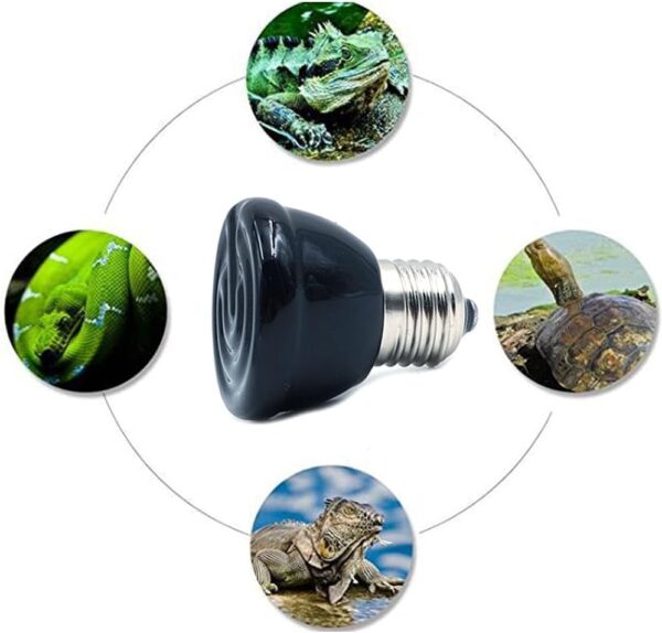ANCLLO E27 Bulb Far Infrared Ceramic Pet Heating Lamp for Lizard Fruit Spider Reptile Box Warmer Bulbs 100W - Image 5
