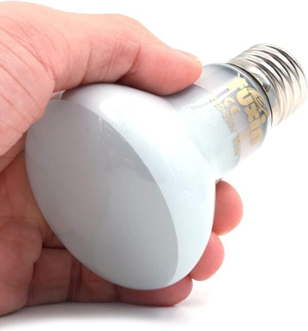 ANCLLO 2pcs Reptile Heating Bulbs, Durable Infrared Heat Lamp Warming Light Bulb White Pet Light for Reptile and Amphibian Lizard Tortoise Spider Snake Chameleon 220-230V(50W) - Image 5