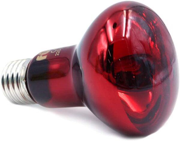 ANCLLO 2pcs Reptile Heating Bulbs, Durable Infrared Heat Lamp Warming Light Bulb Red Pet Light for Reptile and Amphibian Lizard Tortoise Spider Snake Chameleon 220-230V(75W) - Image 4