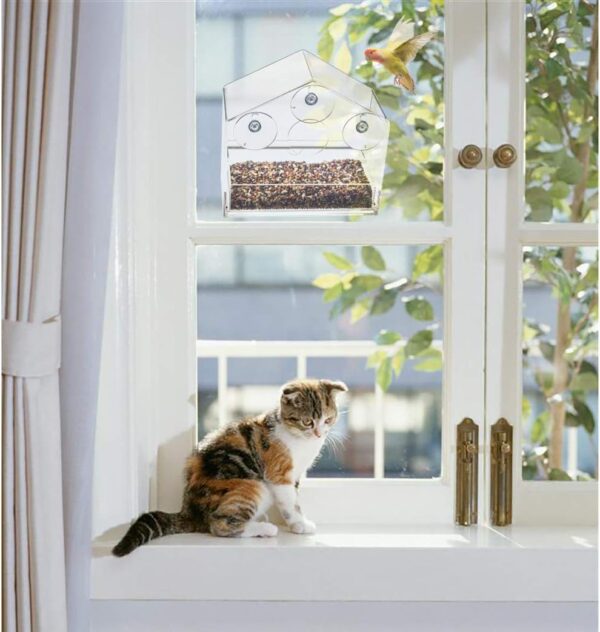 Display4top Outside Acrylic Balcony Window Bird Feeder with Drain Holes, Removable Tray, Super Strong Suction Cups,High Seed Capacity, Great Gift,Easy to Clean (20 x 18.5 x 10cm) - Image 5