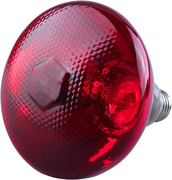 51buyoutgo 200W Thickened Infrared Heat Lamp Bulb for Puppies Reptiles Chicks Tortoise Poultry, Puppy Reptile Heat Lamp, Ceramic Chicken Reptile Tortoise Basking Heat Lamp Bulb Red - Image 5