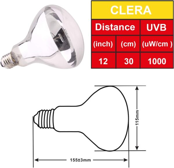 AIICIOO UVB UVA Reptile Heating Lamp D3 Simulate Sunlight Self-Ballasted Basking Bulb for Amphibian Promote Pets Calcium Absorption E27 125W - Image 4
