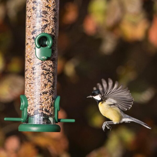 Ring-Pull TO-S3G Large Bird Feeder for Seeds - Green - Image 6