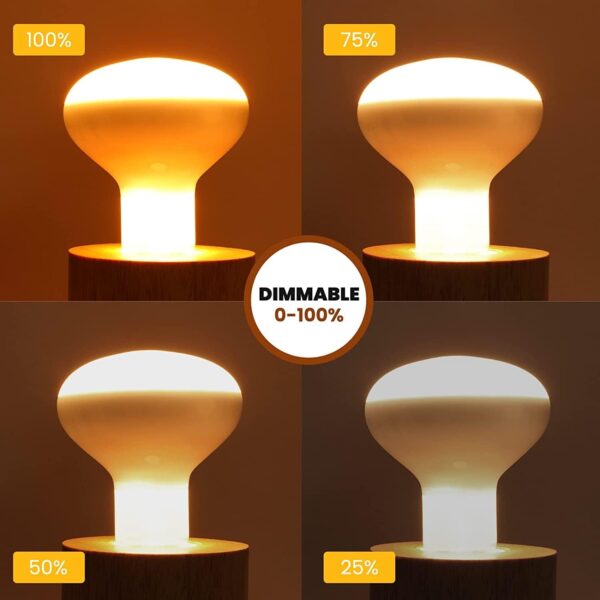 Klarlight Heat Lamp Bulb 100W, E27 Reptile Heat Lamp Dimmable Simulated Sunlight Basking Bulb for Bearded Dragon, Tortoise, Lizard, Puppy, Chicks, AC220-240V, 2-Pack - Image 5