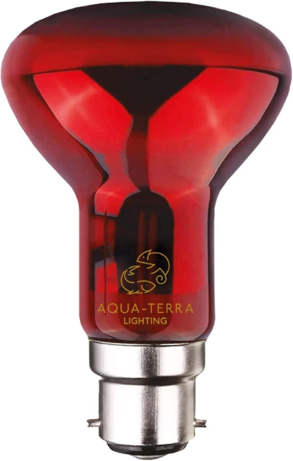 Aqua-Terra Lighting 60w Infrared Basking Heat Lamp for Reptiles, Amphibians and Invertebrates– R63 spotlight bulb with B22 standard Bayonet Base suitable for vivarium heating - Image 5