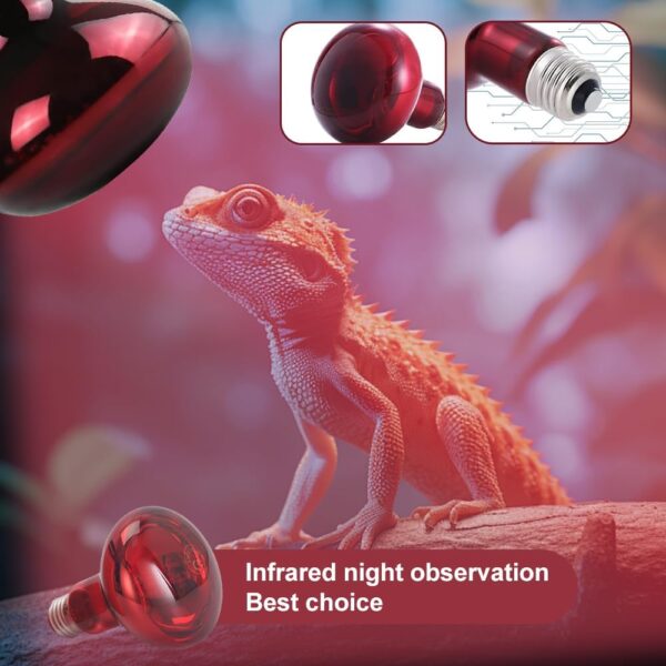 Hojalis 2 Pcs Infrared Heat Lamp Bulb, 100W Reptile Red Bulb Heat Lamp, Basking Spot Light Bulb, Tortoise Heat Lamp Bulb, Infrared Reptile Heat Lamp Bulb for Reptile, Lizard, Amphibian, Spider, Snake - Image 4