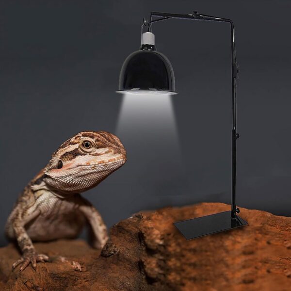 Gomice Heat Lamp Stand for Reptiles - Reptile Heat Lamp Stand to Stabilize Hanging Lamps | Reptile Lamp Stand Lamp Support for Reptile Succulent Plants Glass Terrarium Heating Light - Image 9