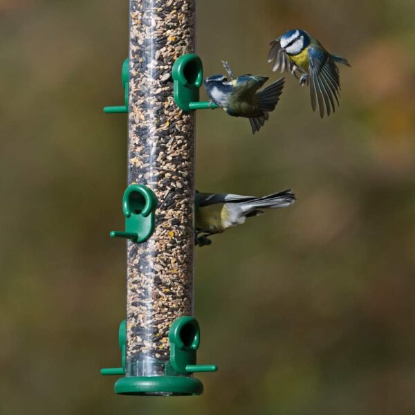 Ring-Pull TO-S3G Large Bird Feeder for Seeds - Green - Image 2