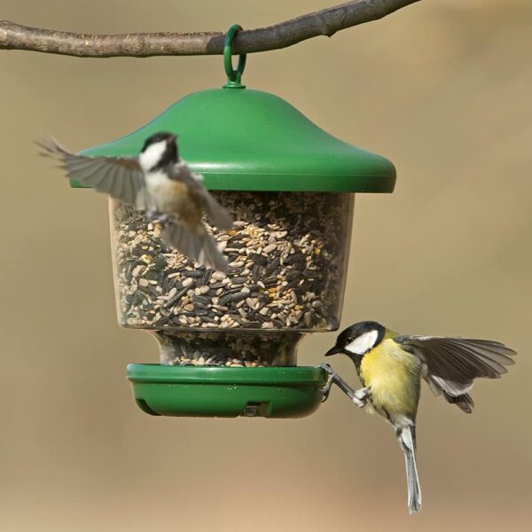 Hanging Lantern Garden Bird Feeder - My Favourites - Easy fill, rainproof roof, green - Image 5