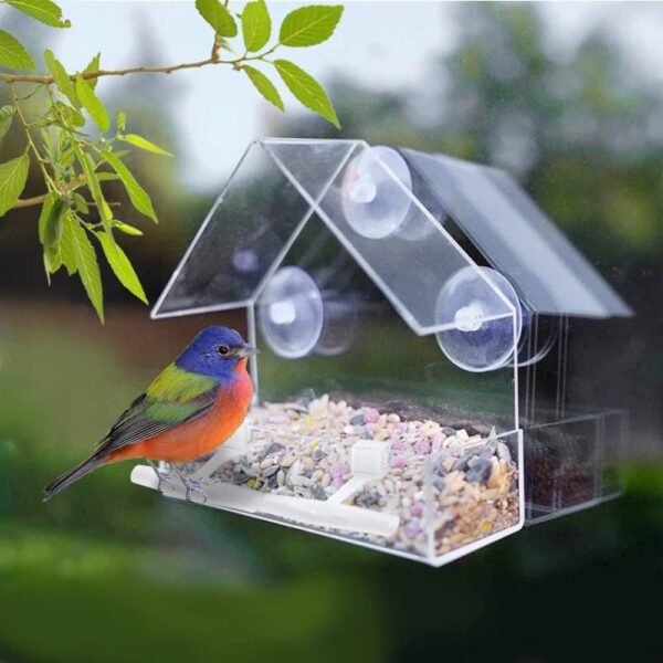 WLLKOO Window Bird Feeder 2 Pack, Bird House for Outside with 4 Rod, Small Acrylic Window Bird Feeder with Strong Suction Cups and Drain Holes 5.9 * 2.4 * 5.9 in - Image 3
