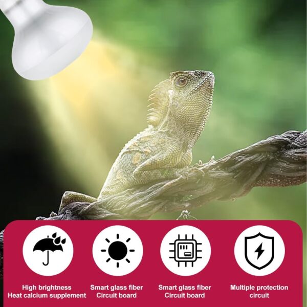 YANGUN 2 Pack Reptile Heat Lamp 100W, E27 Heat Bulb for Reptiles, Daylight Basking Spot Bulb, Tortoise Heat Lamp Bulb, Reptile Heating Bulb for Tortoise, Amphibian, Chicks, Puppies, Lizard, Snakes (B) - Image 3