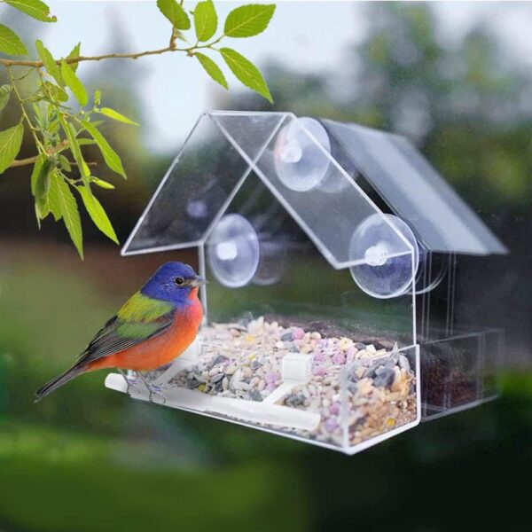 WLLKOO Window Bird Feeder, Bird House for Outside with 2 Rod, Small Acrylic Window Bird Feeder with Strong Suction Cups and Drain Holes 5.9 * 2.4 * 5.9 in - Image 7