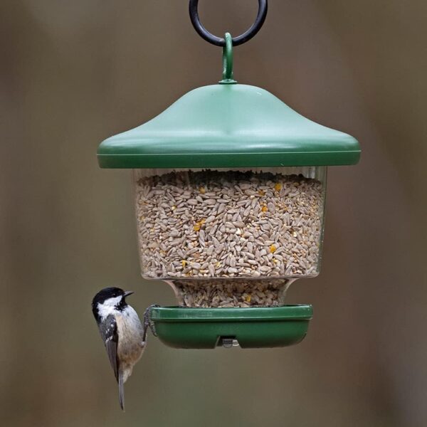 Hanging Lantern Garden Bird Feeder - My Favourites - Easy fill, rainproof roof, green - Image 3