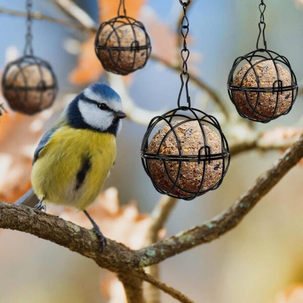 Furado Fat Ball Feeder, 4Pcs Small Hanging Fat Ball Bird Feeder Holder, Hanging Metal Small Bird Feeder for Feeding Outdoor Garden Wildlife Birds, Bird Feeders Hanging Station for Small Wildlife Birds - Image 6