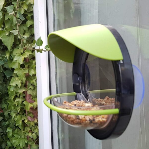 My Living World LW105 Window Bird Feeder, Multicolor - Image 3