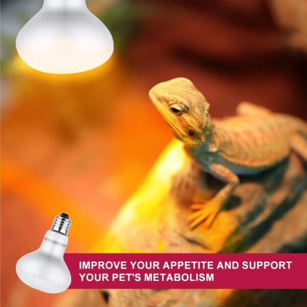YANGUN 2 Pack Reptile Heat Lamp 100W, E27 Heat Bulb for Reptiles, Daylight Basking Spot Bulb, Tortoise Heat Lamp Bulb, Reptile Heating Bulb for Tortoise, Amphibian, Chicks, Puppies, Lizard, Snakes (B) - Image 6