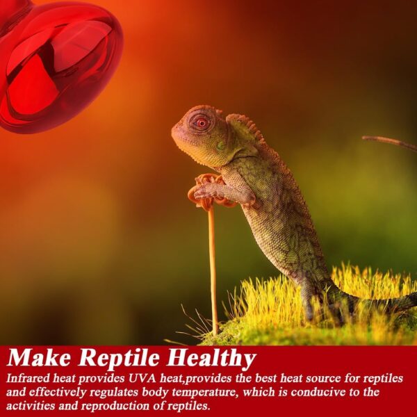 Lotvic 2 Pack 100W Infrared Reptile Heat Lamp Bulb, E27 Basking Spot Lamp, Tortoise Heat Lamp Bulb, Red Reptile Heating Bulb for Amphibian, Tortoise, Spiders, Snakes, Bearded Dragon, Lizard, Chicks - Image 3