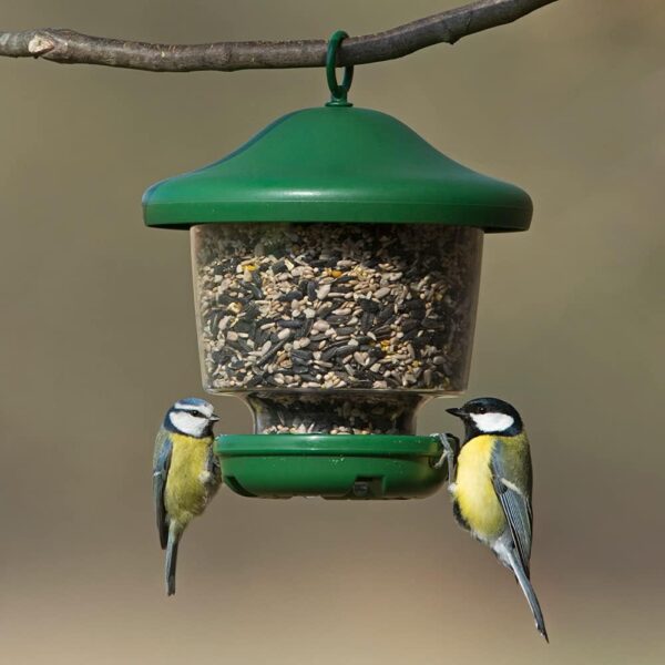 Hanging Lantern Garden Bird Feeder - My Favourites - Easy fill, rainproof roof, green - Image 6
