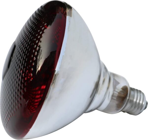 51buyoutgo 275W Thickened Infrared Heat Lamp Bulb for Puppies Reptiles Chicks Tortoise Poultry, Puppy Reptile Heat Lamp, Ceramic Chicken Reptile Tortoise Basking Heat Lamp Bulb Red - Image 7