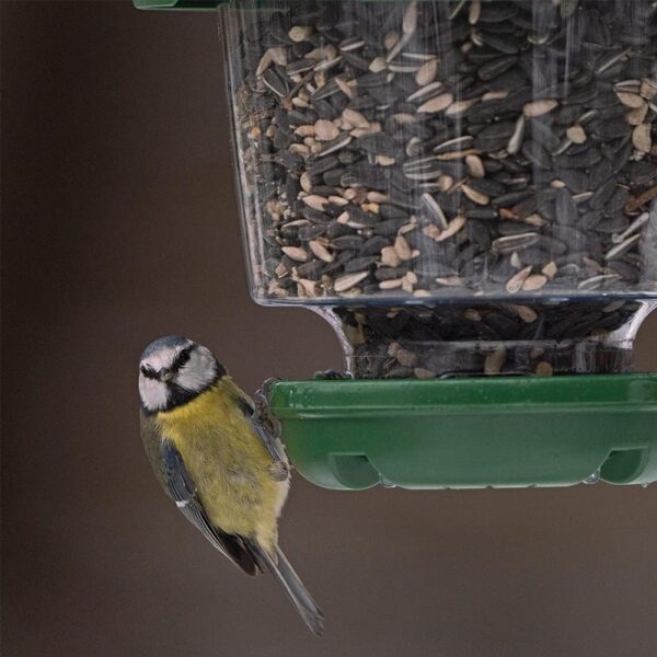 Hanging Lantern Garden Bird Feeder - My Favourites - Easy fill, rainproof roof, green - Image 4