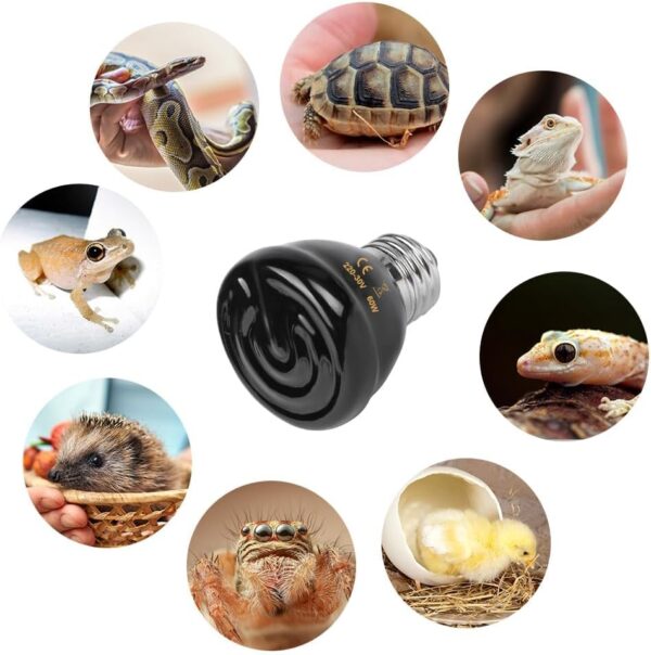 Adiwo Tortoise Heat Lamp, 60W Ceramic Heat Emitter, E27 Reptile Heat Lamp Bulb, Winter Infrared Heating Bulb, 220-230V Terrarium Reptile Heat Bulb for Reptiles/Snakes/Lizards/Turtles/Bearded Dragons - Image 7