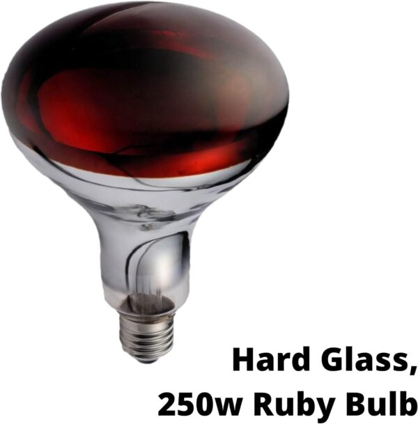 Orvarto Infrared Heat Lamp Bulb, Ruby 250w. for Infra Red Heat Lamps for Poultry, Chicks, Dogs, Puppies, Cats, Kittens, Pigs, Reptiles and Other Animals. - Image 2