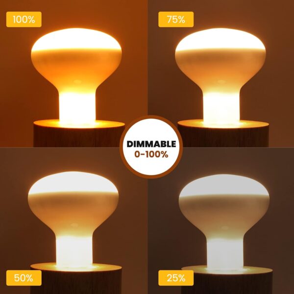 Bonlux 100W Heat Bulb for Reptiles, E27 Base Warm White Light Basking Bulb, Dimmable Reptile Heat Lamp Bulb for Reptiles, Chicks, Tortoise, Bearded Dragon, Dogs, Lizard 2Pack - Image 4