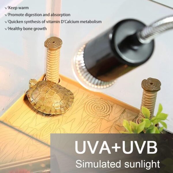 Tortoise Heat Lamp Basking Lamp, 2 Bulb 25W 50 W UVA UVB Light Lamp, Heat Spotlight Reptile Light Aquarium Basking Light with Holder for Tortoise Bell Turtle Snake Lizards Terrarium Amphibian - Image 4