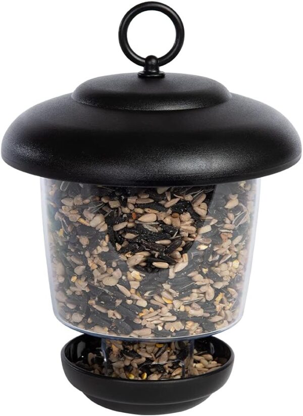 Hanging Lantern Garden Bird Feeder - Jacobi Jayne Little Lantern Outdoor Hanging Bird Feeder - Small Seed And Mealworm Bird Feeder For Garden And Wild Birds - Image 6
