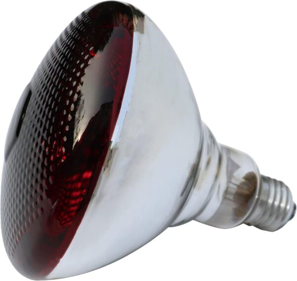 51buyoutgo 200W Thickened Infrared Heat Lamp Bulb for Puppies Reptiles Chicks Tortoise Poultry, Puppy Reptile Heat Lamp, Ceramic Chicken Reptile Tortoise Basking Heat Lamp Bulb Red - Image 3