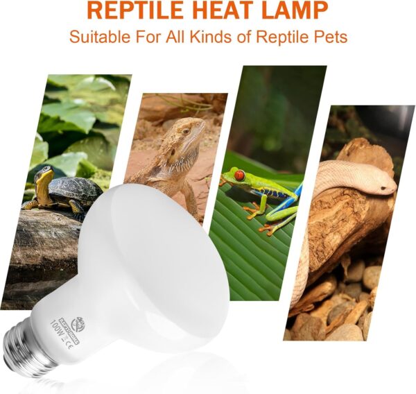 REPTI HOME Reptile Heat Lamp Bulbs, Heat Bulb for Reptiles 2 Pack-100W, E27 Vivarium Basking Spot Light for Tortoise, Lizard, Snake, Bearded Dragon, Puppy, Chick - Image 5