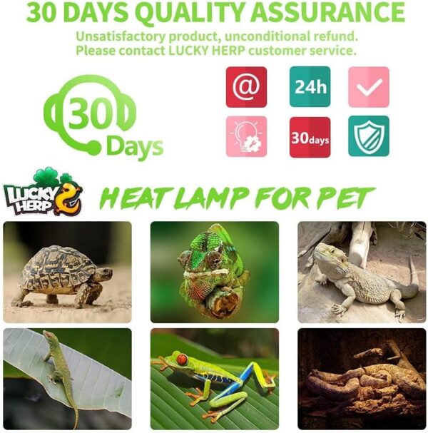 LUCKY HERP 150W Reptile Heat Bulb, Basking Spot Heat Lamp for Reptiles,Vivarium Light for Amphibian, Chicks, Dog Heating Use - Image 7