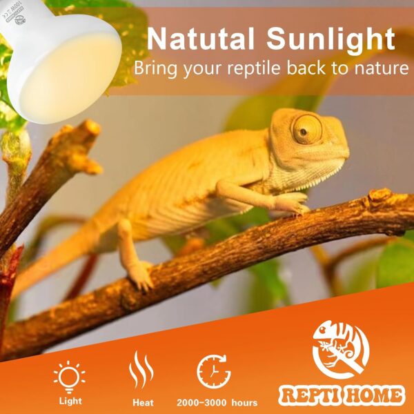 REPTI HOME Reptile Heat Lamp Bulbs, Heat Bulb for Reptiles 2 Pack-100W, E27 Vivarium Basking Spot Light for Tortoise, Lizard, Snake, Bearded Dragon, Puppy, Chick - Image 2